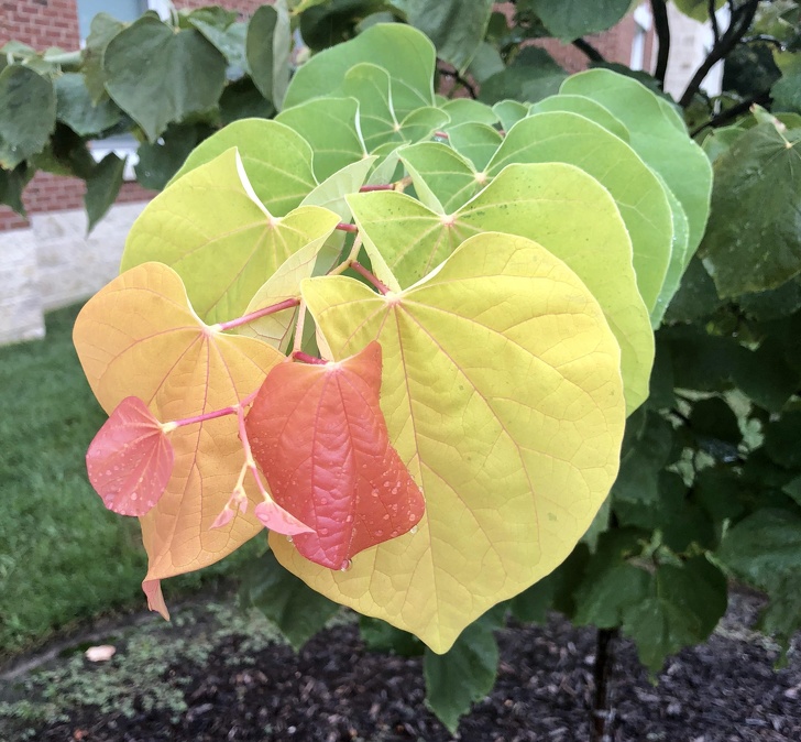 Illustration de l'article : Ces 28 photos qui réalisées par des personnes maniaques