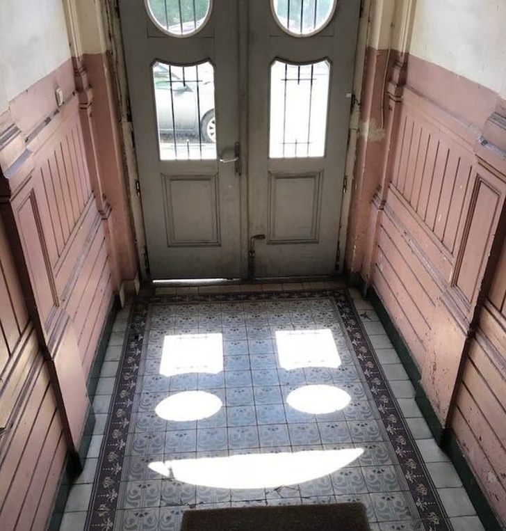 Illustration de l'article : Ces 17 photos étranges et sans retouche ont fait le buzz sur le net