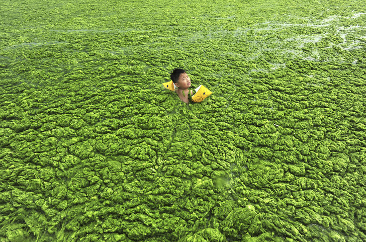 Illustration de l'article : Ces 15 photos qui montrent que l'on doit agir contre la pollution
