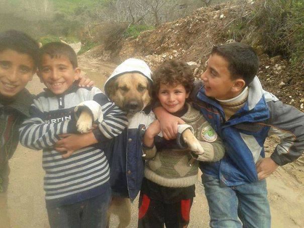 Illustration de l'article : Qui a vraiment le niveau pour trouver l'intrus sur ces 100 photos ? 