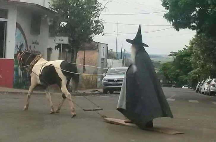 Illustration de l'article : Ces 19 moments assez fous dans le monde