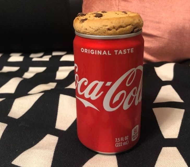 Illustration de l'article : Ces 20 photos qui montrent que la nature est bien faite