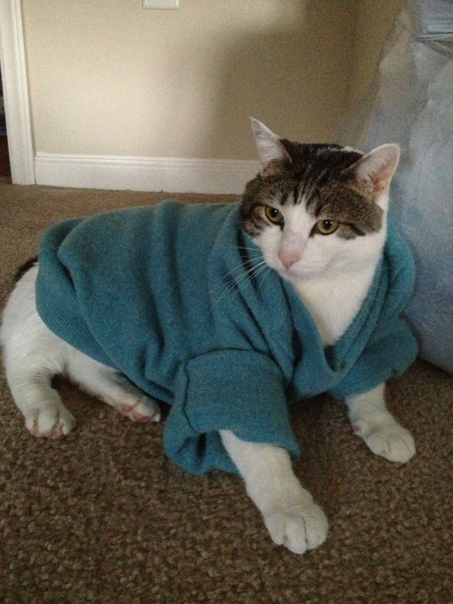 Illustration de l'article : 28 personnes qui ont vécu une expérience dont elles se souviendront toute leur vie