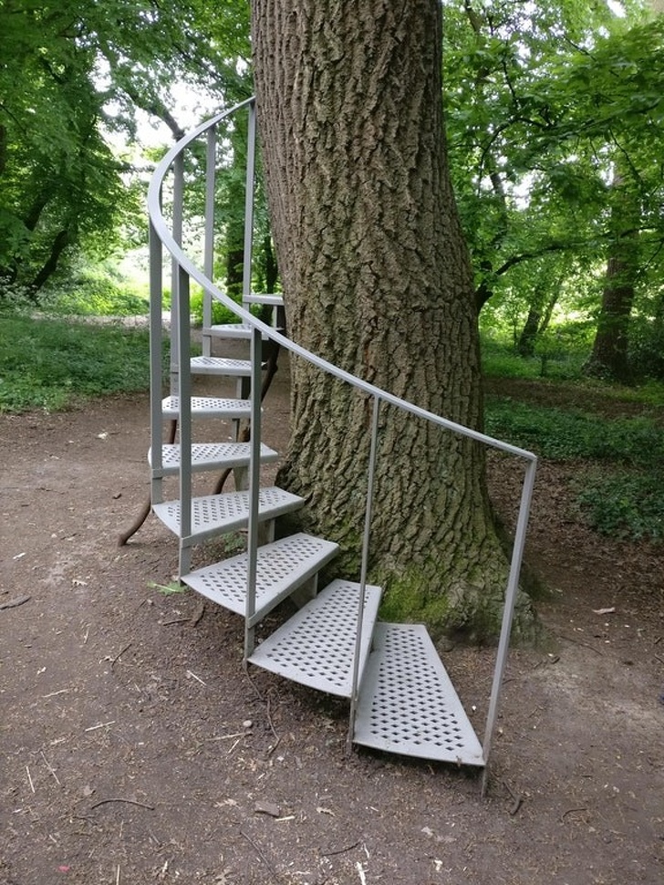 Illustration de l'article : Ces 22 personnes ont eu un petit moment de folie