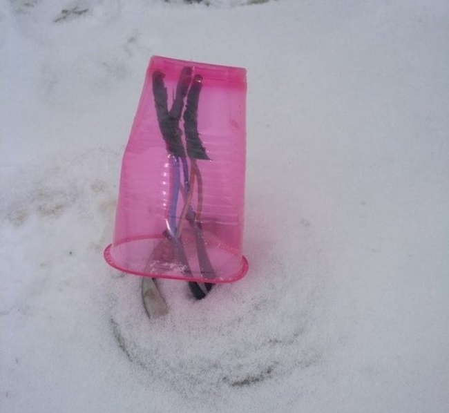 Illustration de l'article : Ces 21 personnes qui prennent la vie comme elle vient