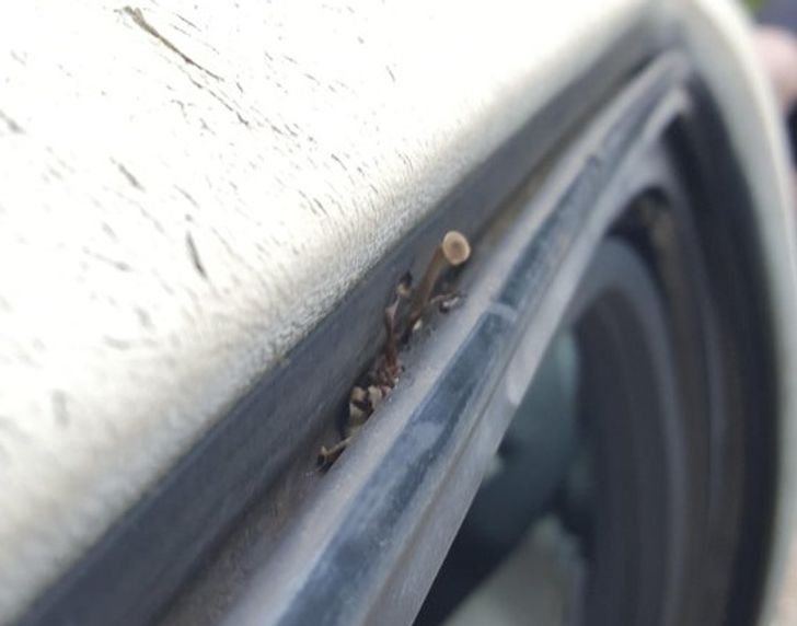 Illustration de l'article : Ces 20 internautes qui ont partagé leurs découvertes sur Internet