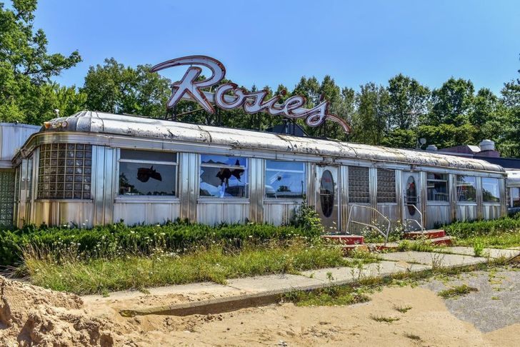 Illustration de l'article : Ces 18 photos de la nature lorsqu'elle reprend ses droits