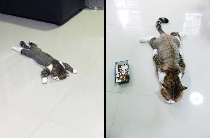 Illustration de l'article : Ces 21 photos qui montrent que l'été peut parfois être difficile à vivre