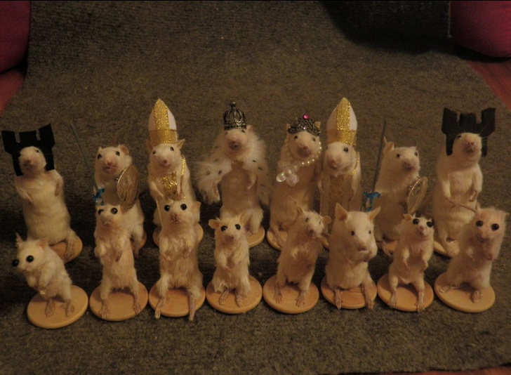 Illustration de l'article : Ces 21 photos de situations qui mettent mal à l'aise