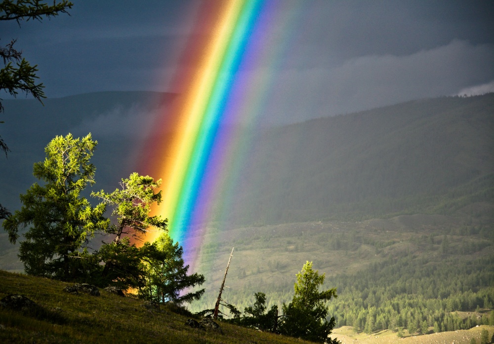 Illustration de l'article : 16 images captivantes sur les faits naturels les plus fascinants au monde 