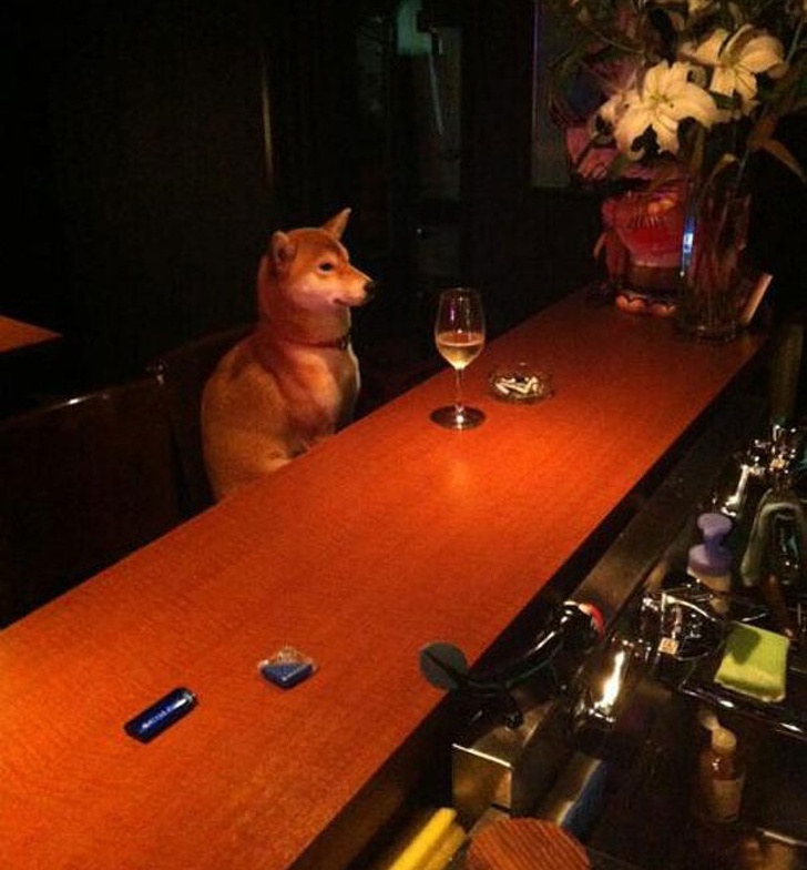 Illustration de l'article : Ces 20 photos de faits dont nous n'avons pas d'explication