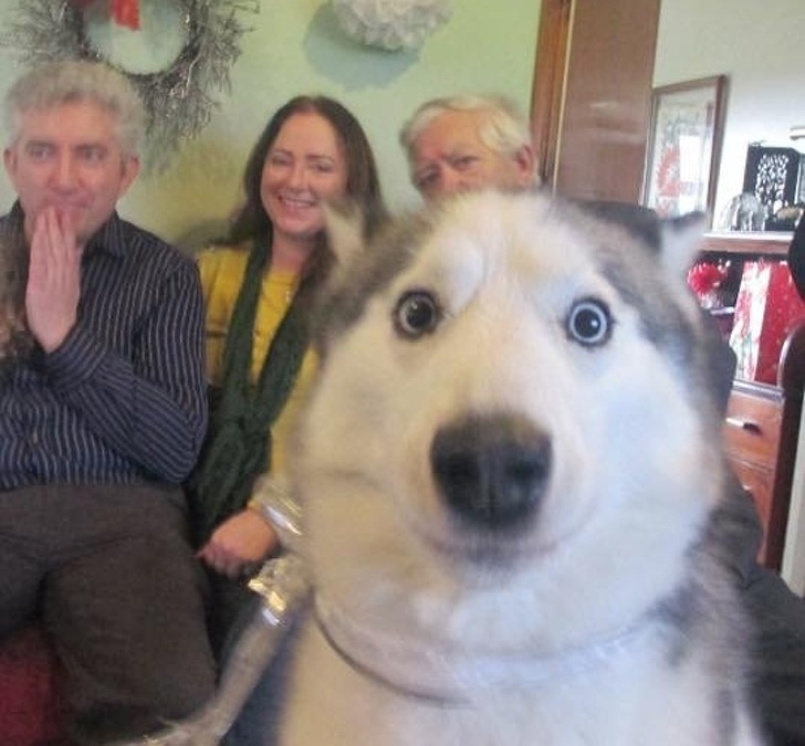 Illustration de l'article : Ces 19 photos devenues mémorables grâce à leur arrière-plan