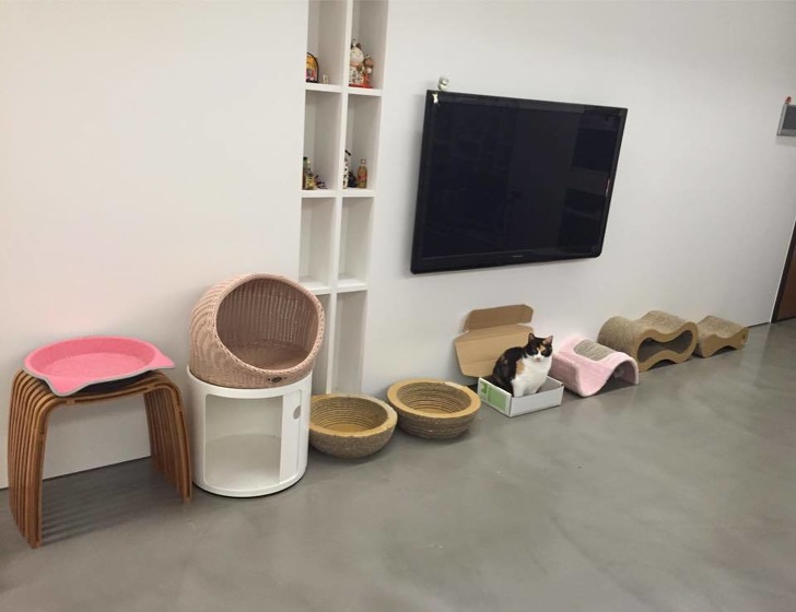 Illustration de l'article : Ces 14 photos qui rendent de bonne humeur