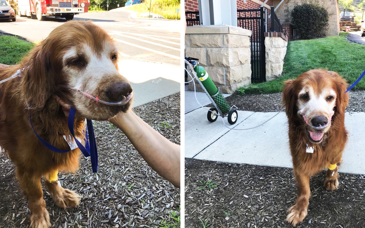 Illustration de l'article : Ces 16 photos de moments tendres de la vie