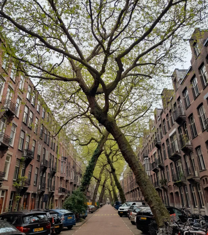 Illustration de l'article : Ces 18 situations qui ne se présentent qu'une seule fois dans une vie