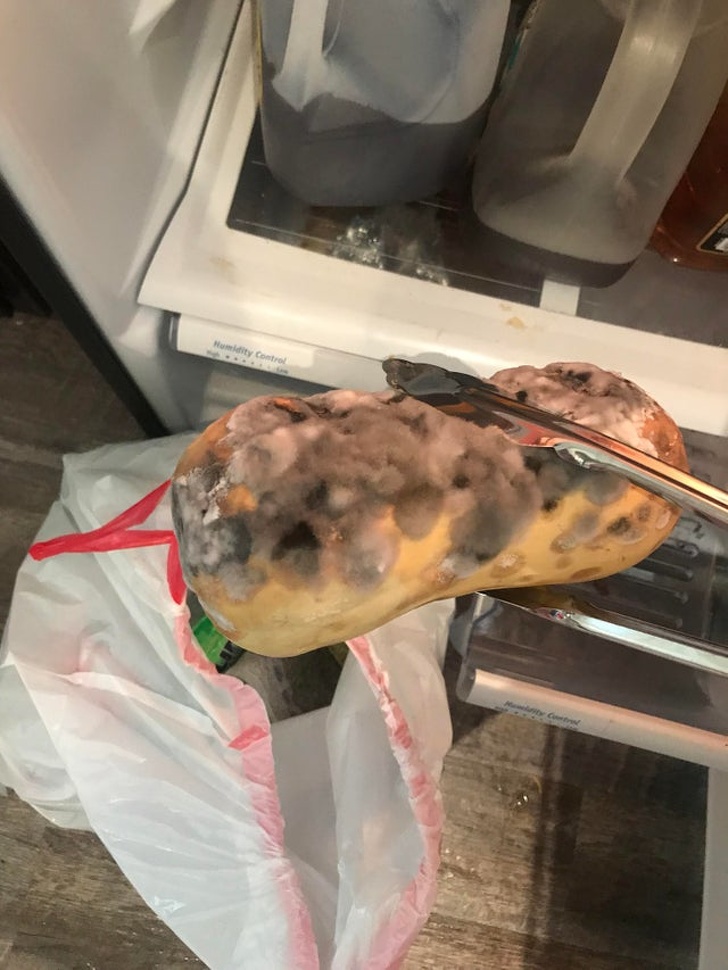 Illustration de l'article : Ces 22 photos qui repoussent l'envie d'avoir un colocataire