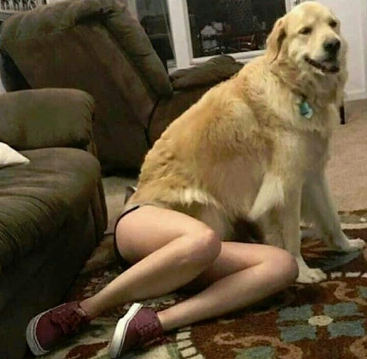 Illustration de l'article : Ces 21 photos demandent un peu de temps avant de les comprendre