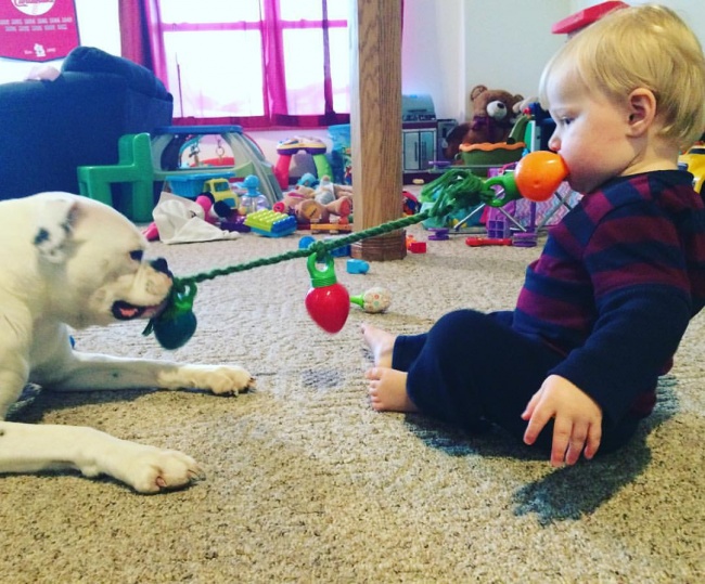 Illustration de l'article : Ces 20 photos dévoilent la complicité entre les enfants et leur animal de compagnie