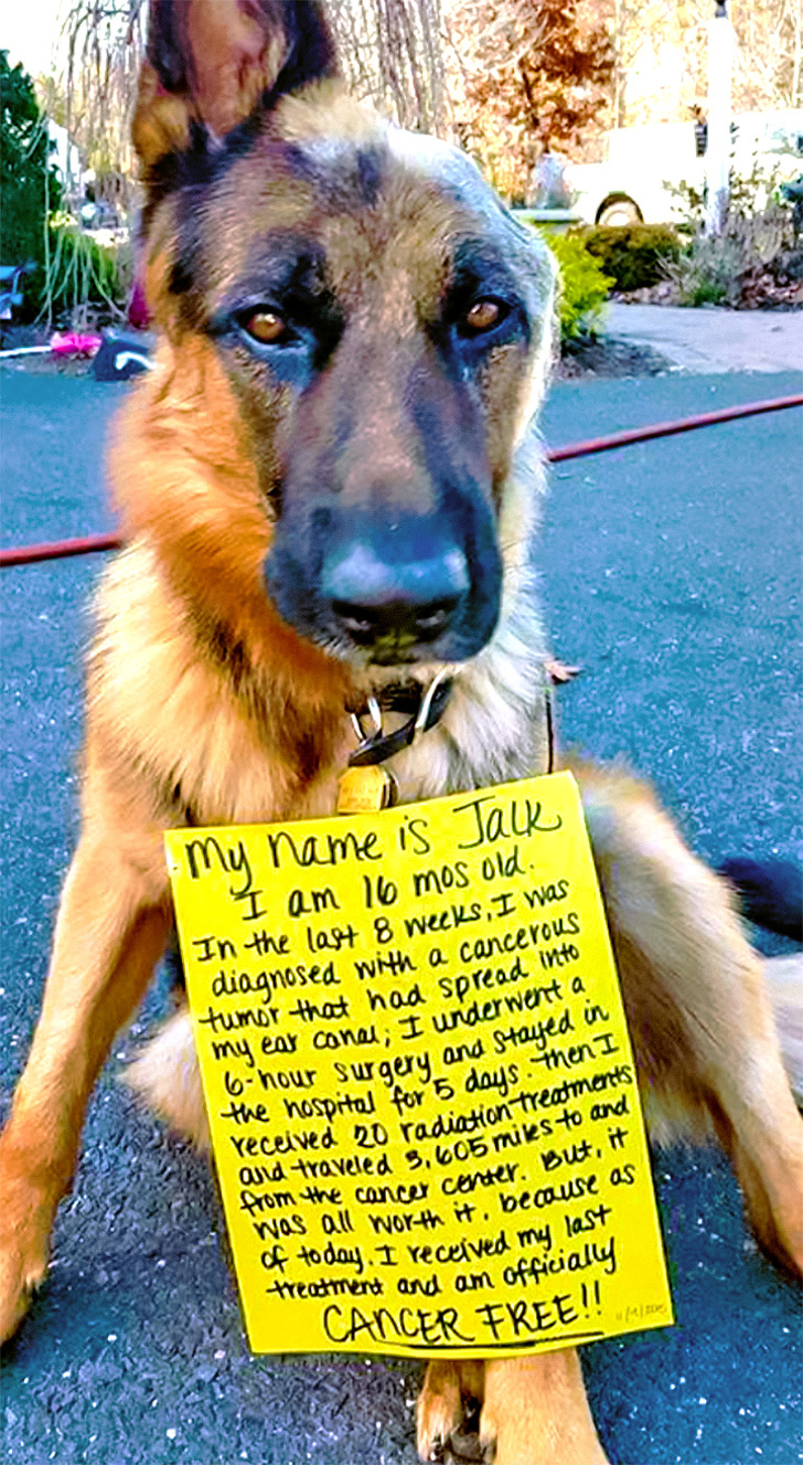 Illustration de l'article : Ces 18 photos qui illuminent la journée