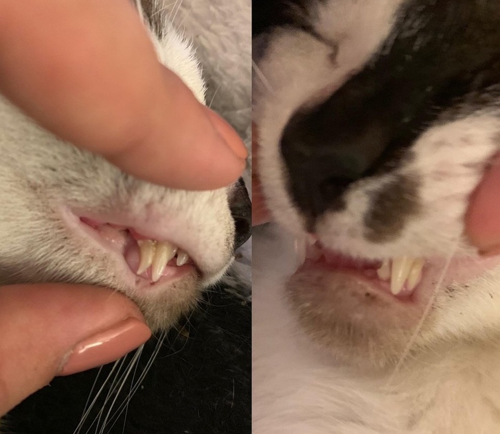 Illustration de l'article : Ces 19 exceptions qui ont marqué les auteurs de ces photos