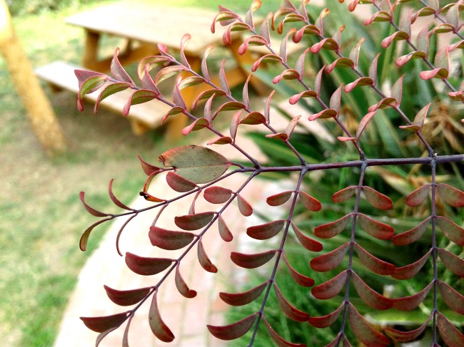 Illustration de l'article : Ces 31 photos vont faire souffrir votre côté perfectionniste