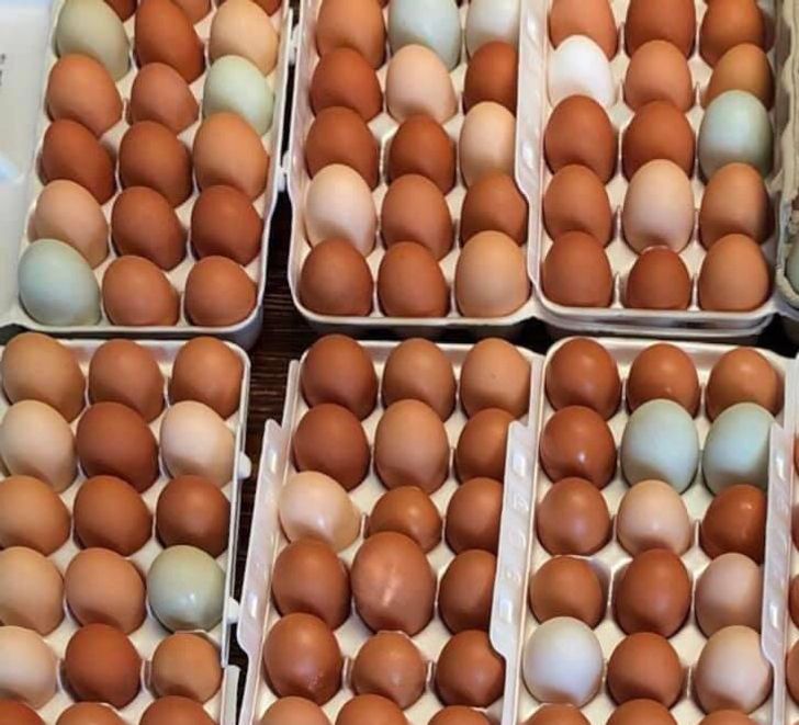 Illustration de l'article : Ces 20 photos qui ne sont pas ce qu'elles semblent &ecirc;tre