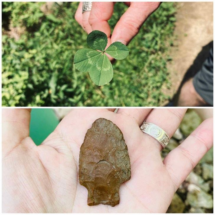 Illustration de l'article : Ces 19 personnes qui ont fait de belles découvertes