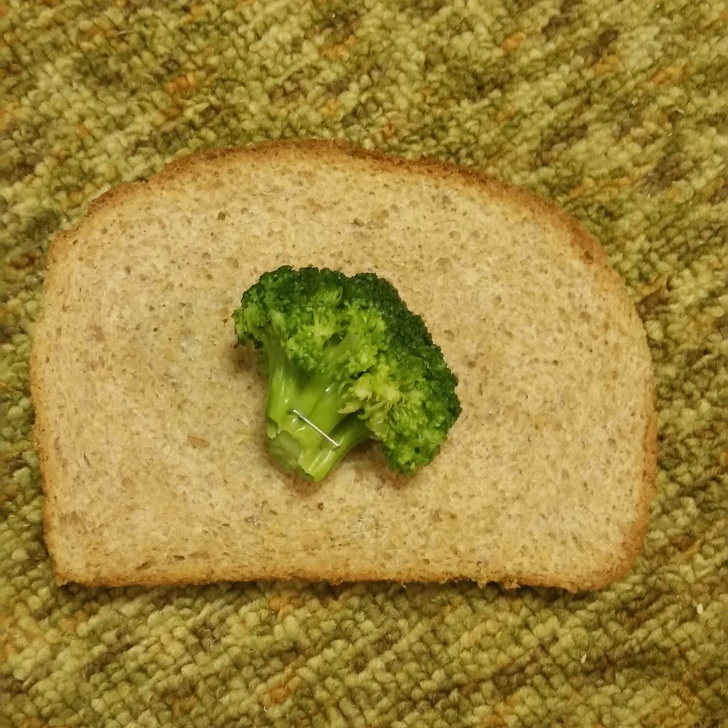 Illustration de l'article : Ces 15 personnes qui ont eu un moment de folie bien à eux