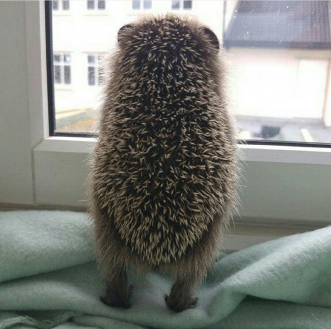 Illustration de l'article : 17 images qui vont titiller vos émotions