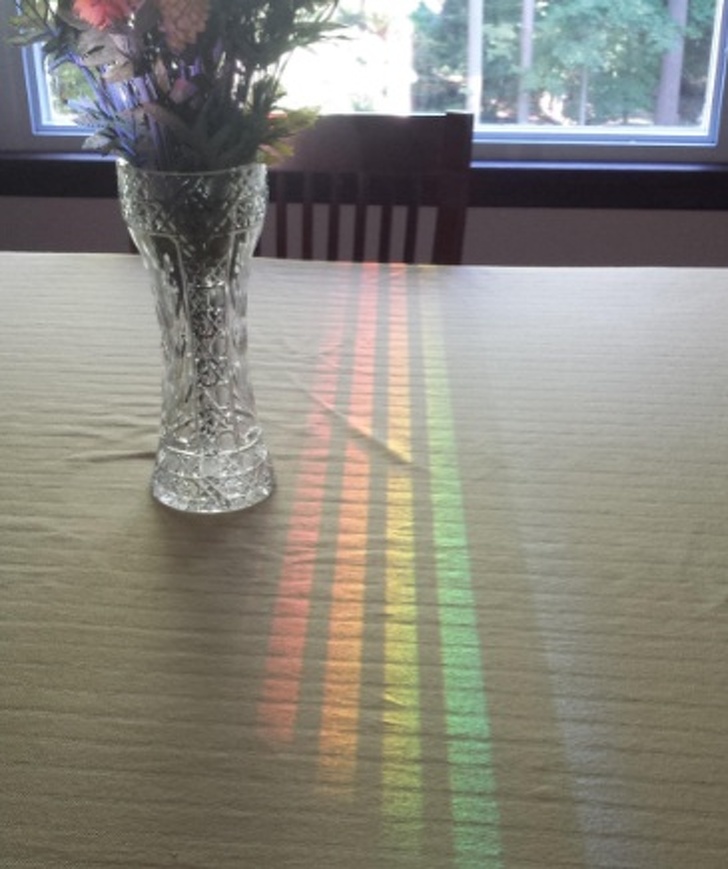 Illustration de l'article : Ces 26 photos qui épousent la perfection