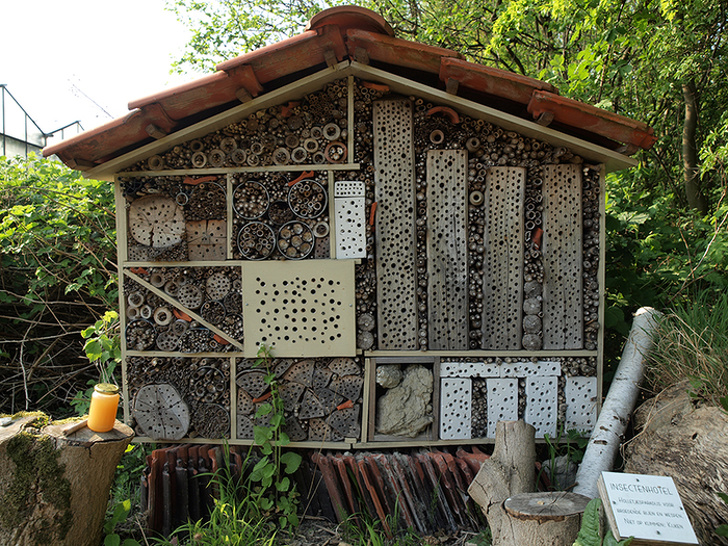 Illustration de l'article : Ces 14 curieux objets qui ont pourtant une réelle utilité