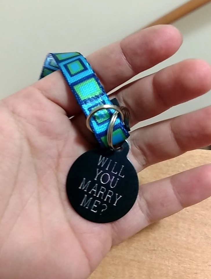 Illustration de l'article : Ces 22 compagnons qui ont tout du gentleman parfait