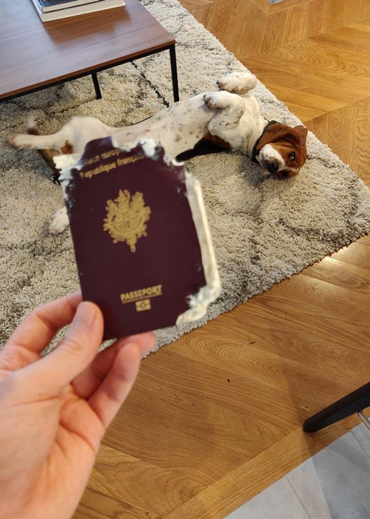 Illustration de l'article : Ces 20 photos qui illustrent le quotidien de personnes malchanceuses