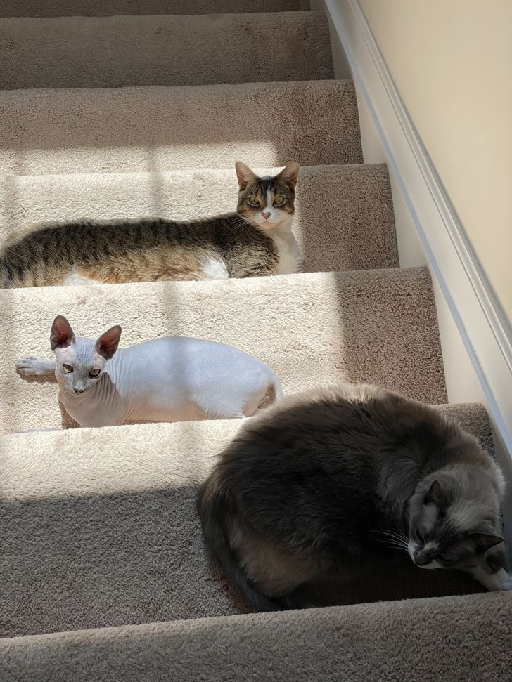 Illustration de l'article : Ces 18 photos illustrant les petites coïncidences de la vie