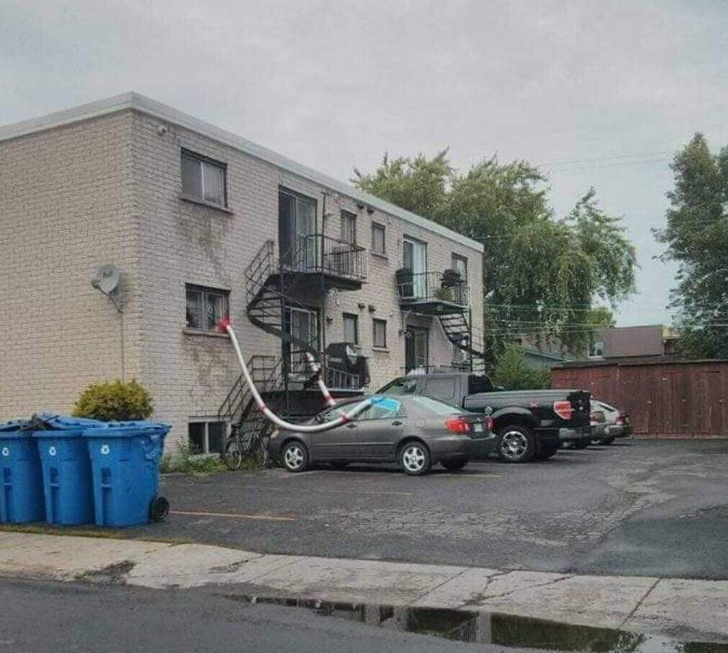 Illustration de l'article : Ces 21 photos qui montrent que l'été peut parfois être difficile à vivre