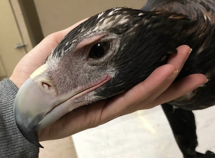 Illustration de l'article : Ces 18 photos d'objets originaux de toutes les époques