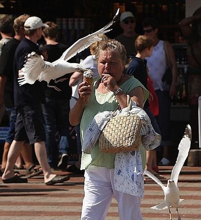 Illustration de l'article : Ces 28 choses qui ne se produisent que dans les pays chauds