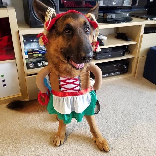 Illustration de l'article : Ces 22 personnes qui ont fait preuve d'imagination pour ressembler à leurs personnages préférés