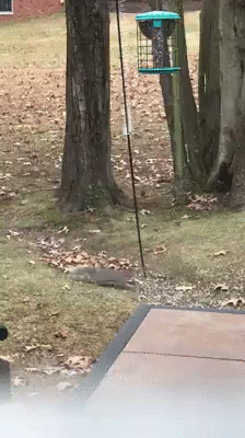 Illustration de l'article : 20 as du syst&egrave;me D partagent leurs meilleures astuces