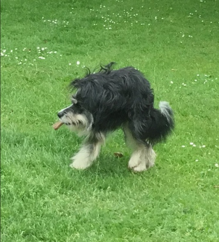 Illustration de l'article : Ces 20 photos panoramiques qui ont mal tourné