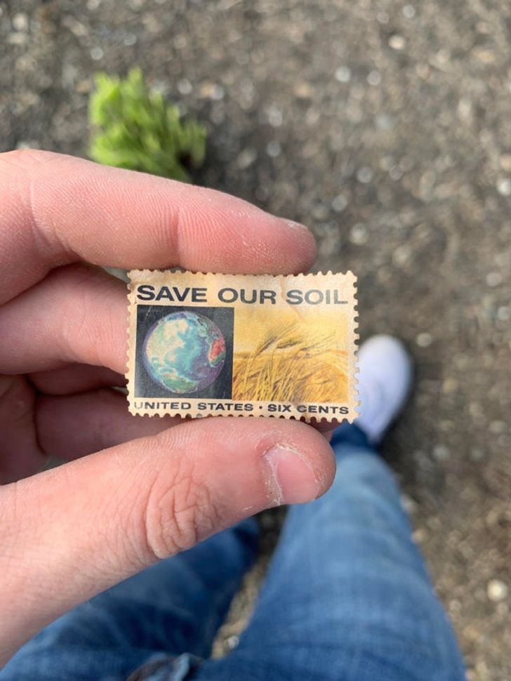 Illustration de l'article : Ces 16 photos d'objets anciens retrouv&eacute;s par les nouveaux locataires 