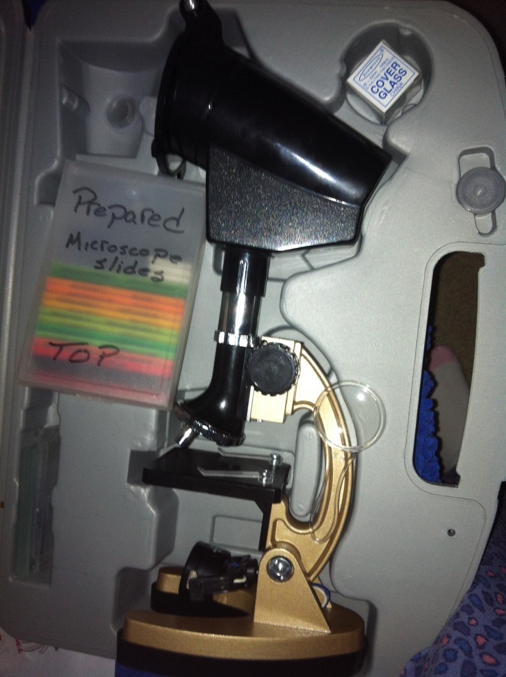 Illustration de l'article : Ces 20 professeurs qui ont une caract&eacute;ristique particuli&egrave;re