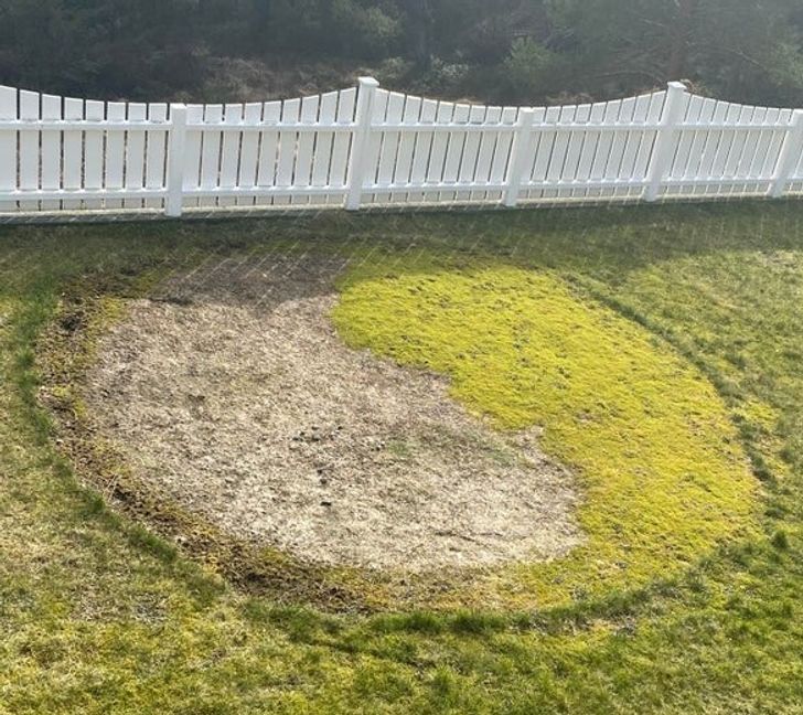 Illustration de l'article : Ces 19 découvertes insolites en tout genre