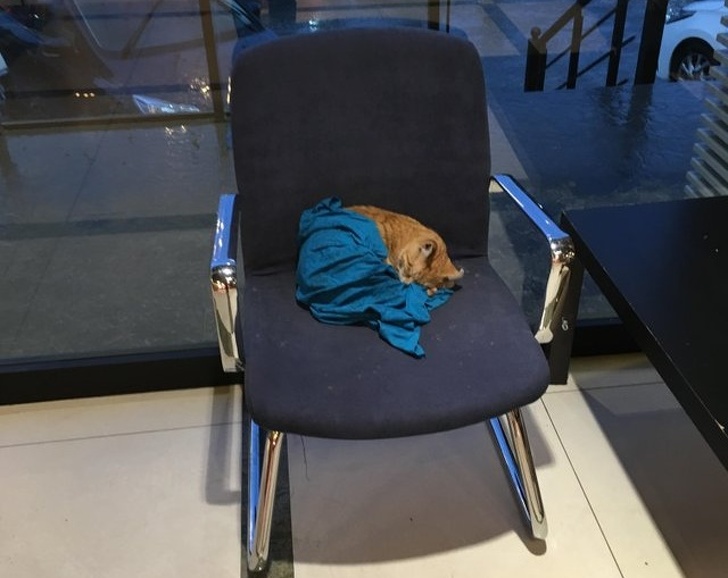 Illustration de l'article : Ces 21 personnes qui font un geste pour que le monde change