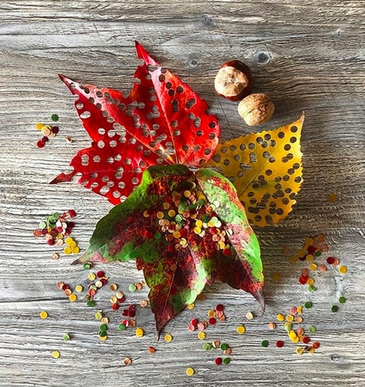 Illustration de l'article : Ces 19 actions simples pour préserver la Terre