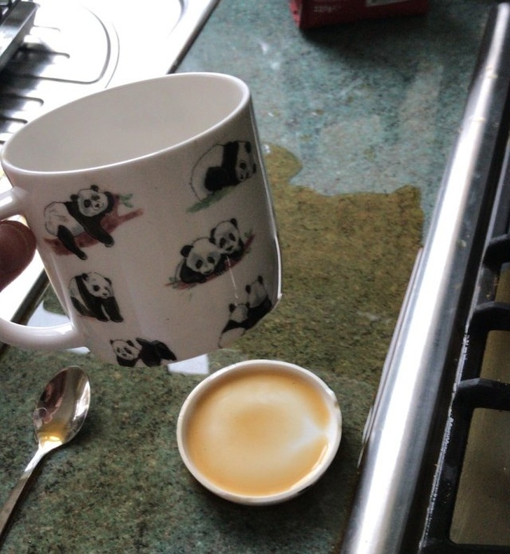 Illustration de l'article : Ces 22 photos qui font perdre patience