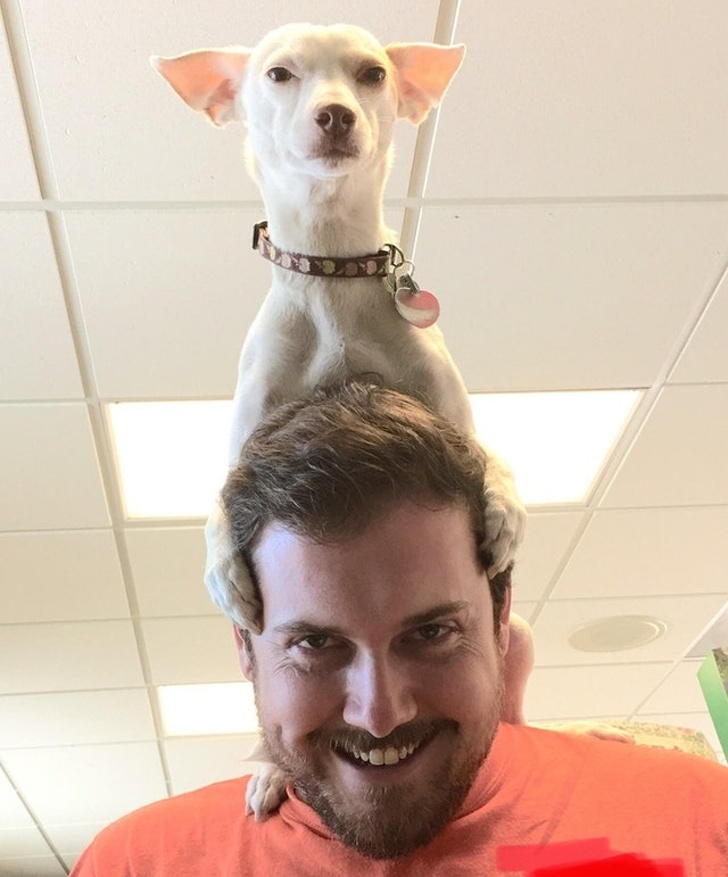 Illustration de l'article : Ces 22 personnes qui ont croisé de curieuses situations