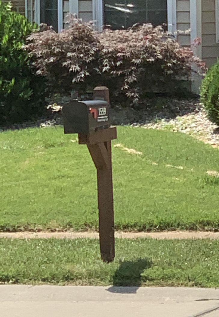 Illustration de l'article : Ces 20 personnes qui ont fait de bonnes trouvailles