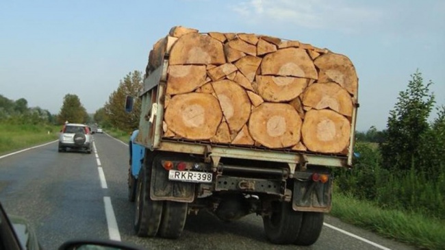 Illustration de l'article : 18 photos si parfaites qu&rsquo;elles semblent irr&eacute;elles