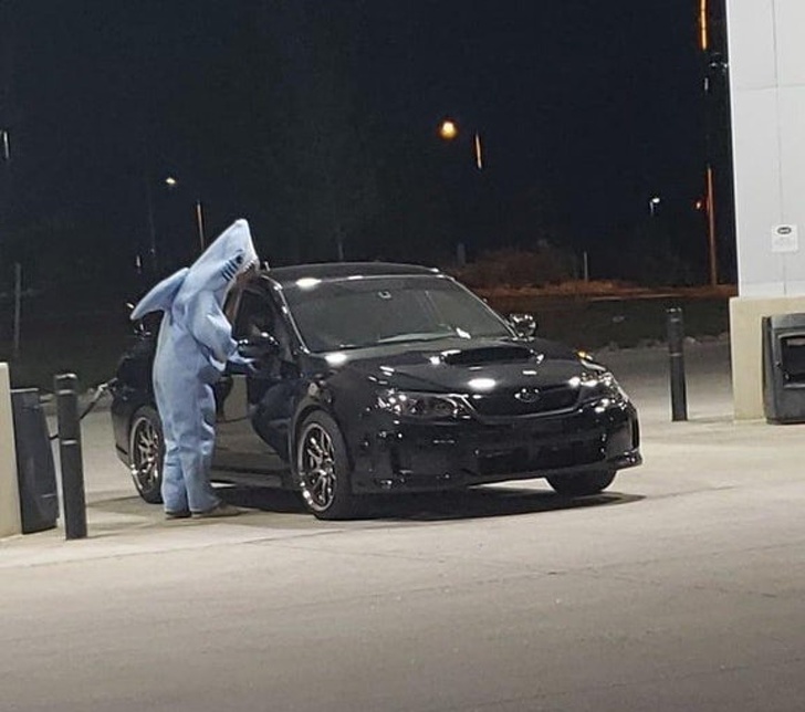 Illustration de l'article : Ces 16 curiosités montrent la folie du monde qui nous entoure